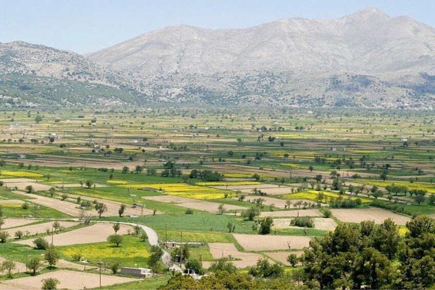 A rural landscape with terraced fields, scattered trees, and mountains in the background. 5