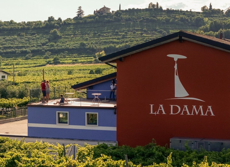 A vineyard with a building labeled 'LA DAMA' and a person standing on the roof. 4