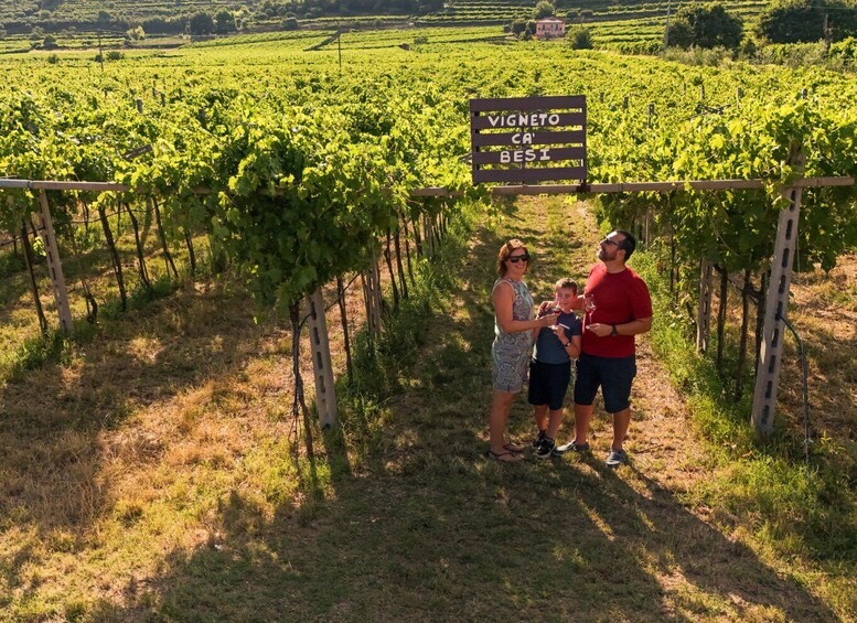 A vineyard with rows of grapevines and a sign reading 'VIGNETO CA' BESI'. 5