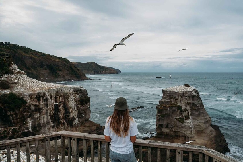 A person overlooking a rocky coastline with waves crashing against the cliffs. 3