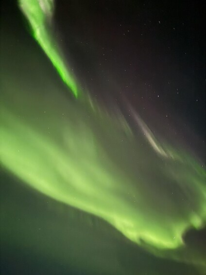 The aurora borealis with green and white lights. 2