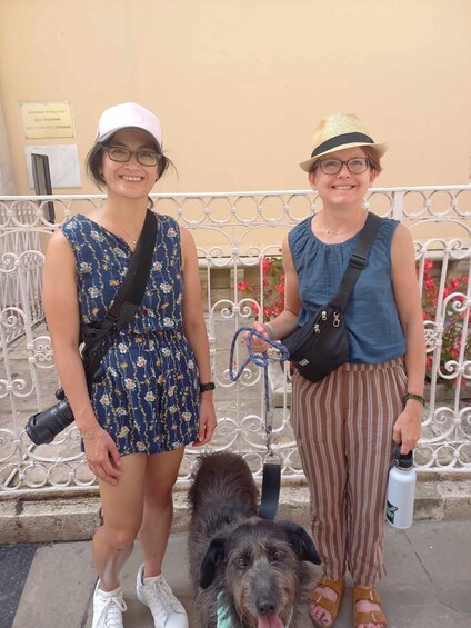 Corfu: Dog Sightseeing Tour 1