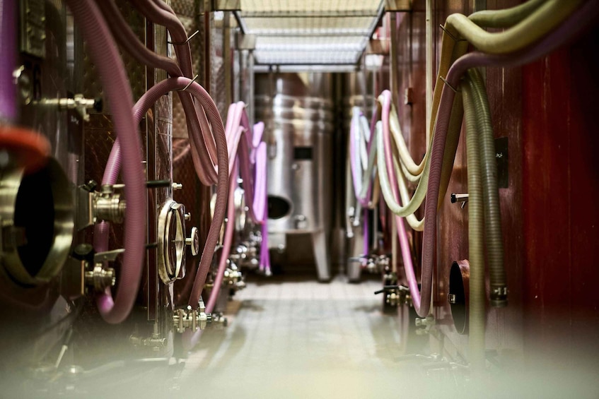 A series of pipes and valves in a mechanical setting. 5