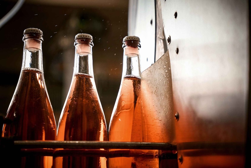Three glass bottles with liquid, placed on a metal rack. 5