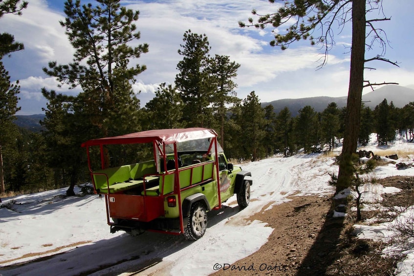 Un vehículo todoterreno verde estacionado en un sendero nevado rodeado de pinos. 1