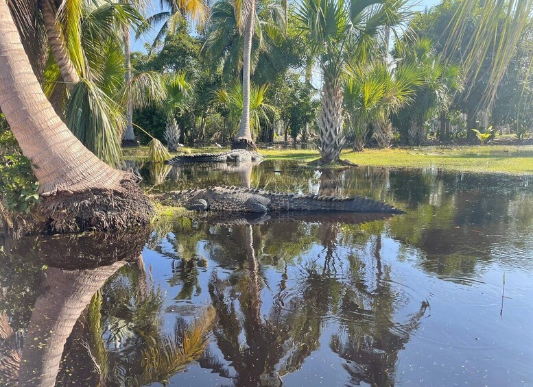 Picture 2 for Activity From Huatulco: Crocodiles and Turtles Eco Day-Tour 5