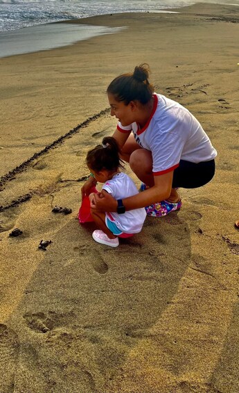 Picture 4 for Activity From Huatulco: Crocodiles and Turtles Eco Day-Tour 2