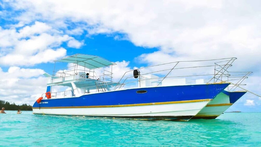 Picture 7 for Activity Santo Domingo: Isla Saona Day Trip with Lunch & Catamaran 3