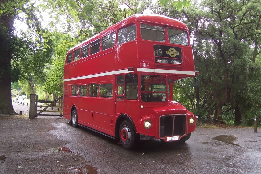 A red double-decker bus with the number 49 on the front, parked on a wet road surrounded by trees. 3