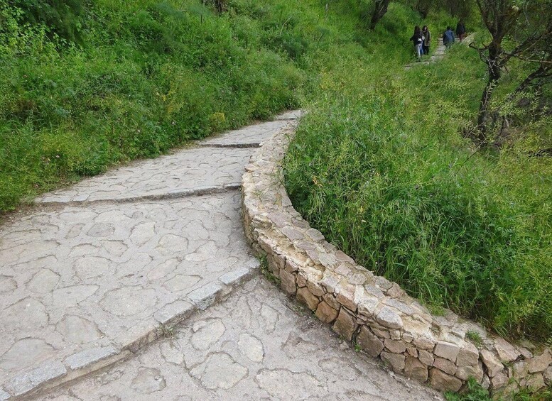 A stone pathway winding through a lush green area. 4