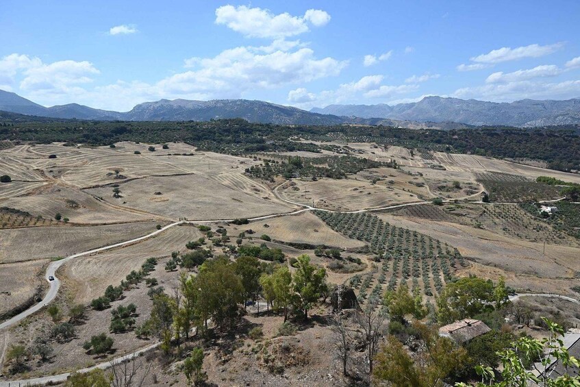 A hilly landscape with terraced fields and scattered trees. 1