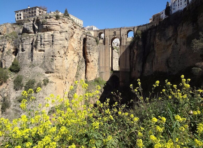 A bridge spanning a canyon with buildings on top of the cliffs. 3