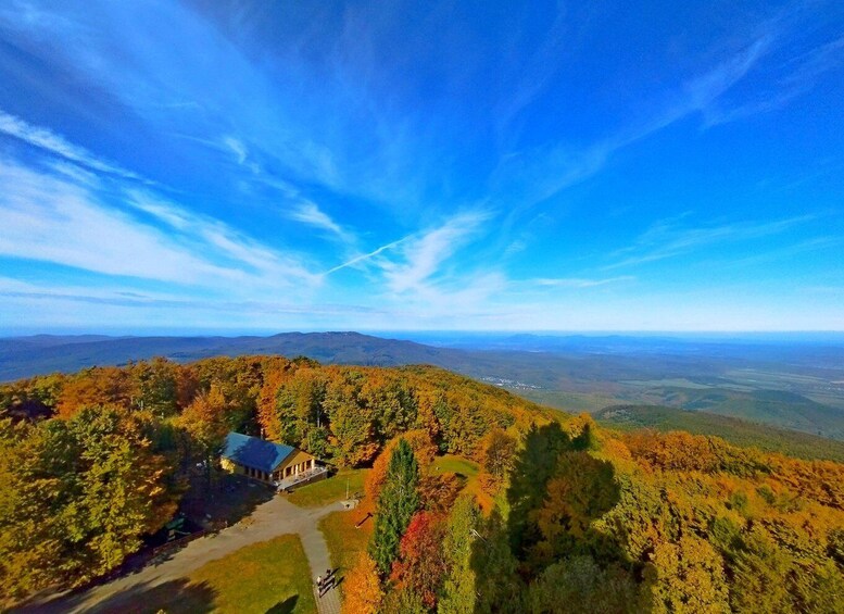 A house surrounded by autumn-colored trees on a hill with a clear blue sky. 5