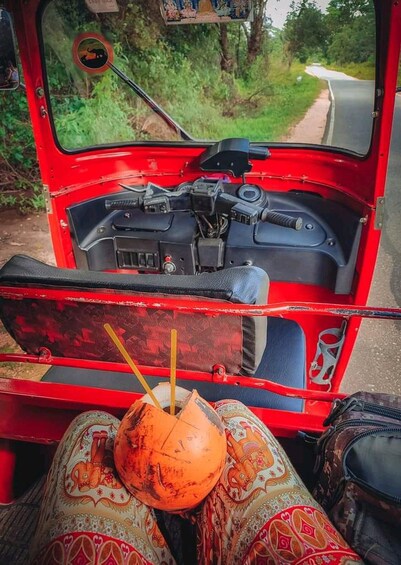 A red vehicle interior with a coconut and straw. 1