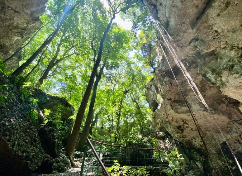 A forested cave entrance with natural rock formations and a rope bridge. 2