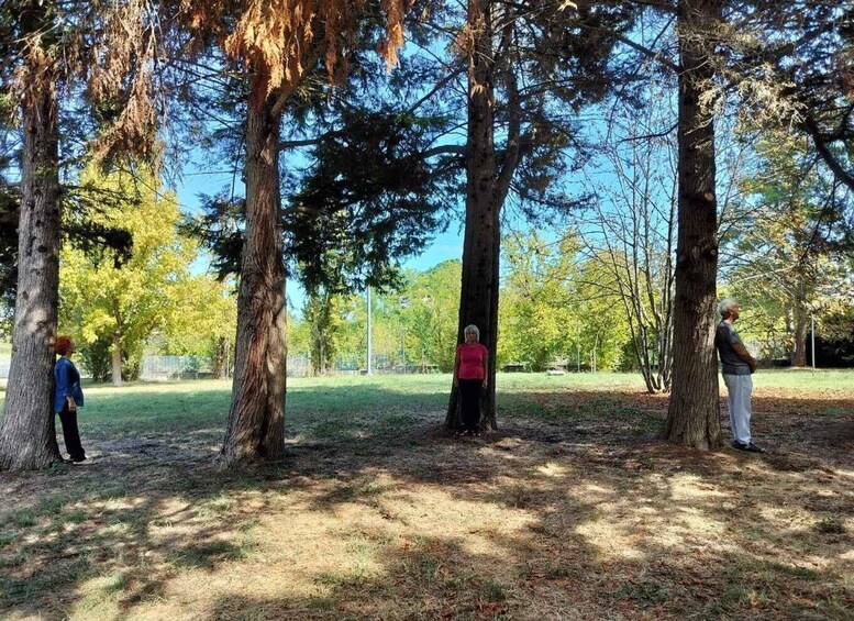 Three people standing under tall trees in a park. 5