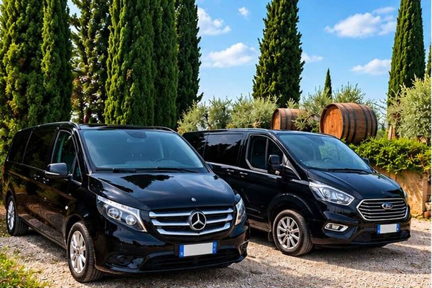 Two black Mercedes-Benz vans parked on a gravel surface with a backdrop of tall evergreen trees and a wooden barrel. 2