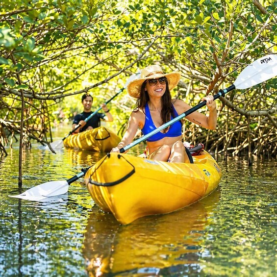 Two people kayaking in a mangrove area. 2