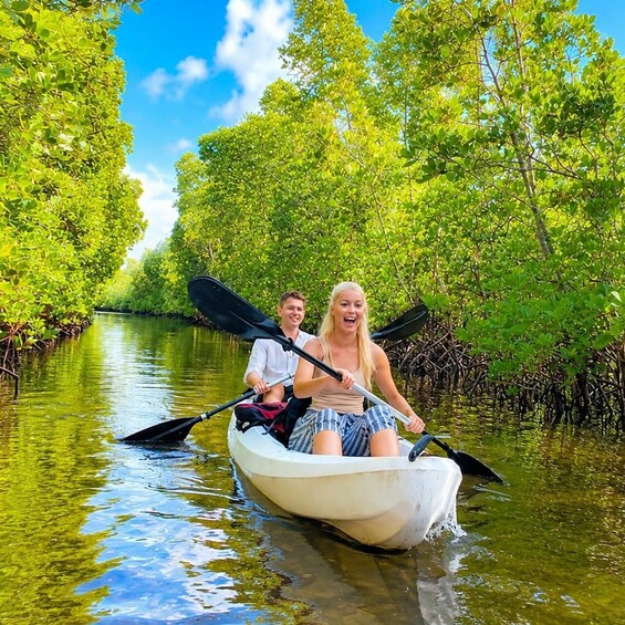 Zanzibar: Drive Kayak in Magrove Forest+Wildlife Watching 2