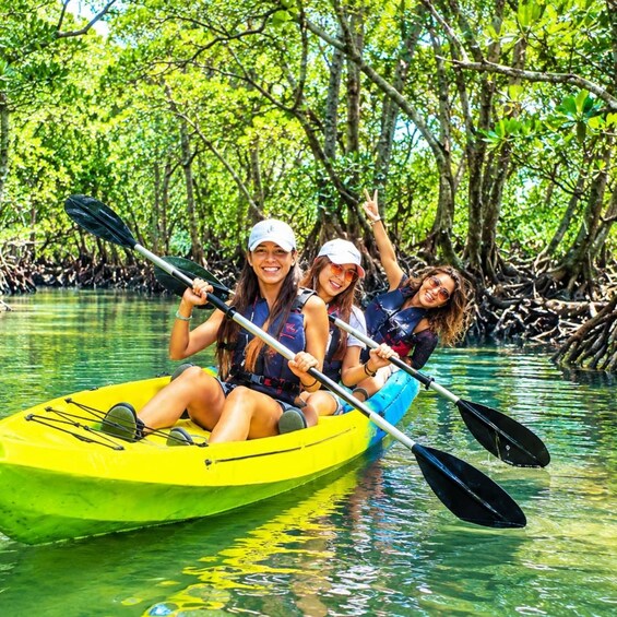 Three people kayaking on a river surrounded by mangrove trees. 4
