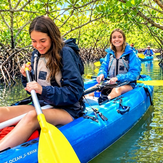 Two people kayaking in a mangrove area. 1