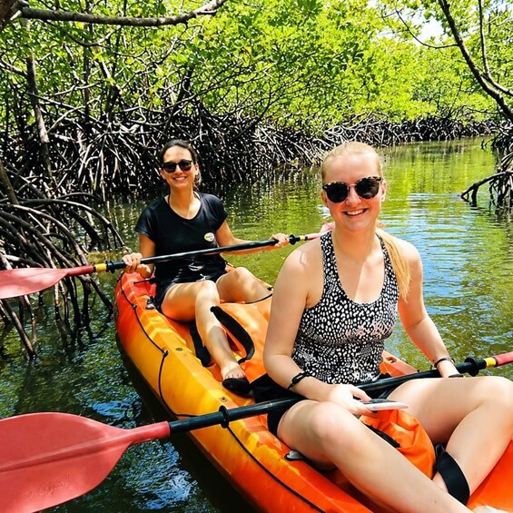 Picture 2 for Activity Zanzibar: Drive Kayak in Magrove Forest+Wildlife Watching 3