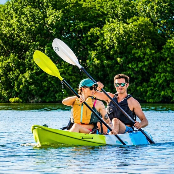 Two people kayaking on a calm river surrounded by dense greenery. 3