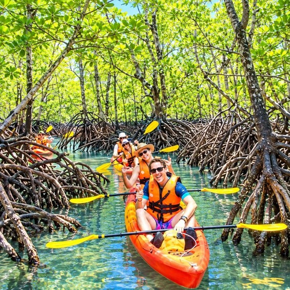 People kayaking through mangrove channels. 3