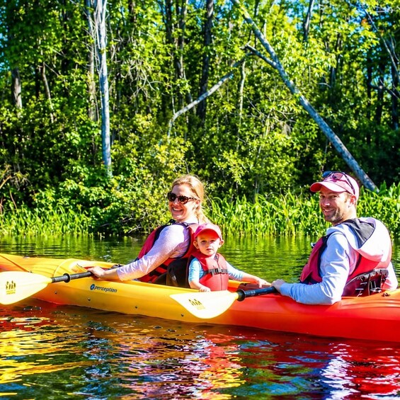 A family kayaking on a river surrounded by lush greenery. 4