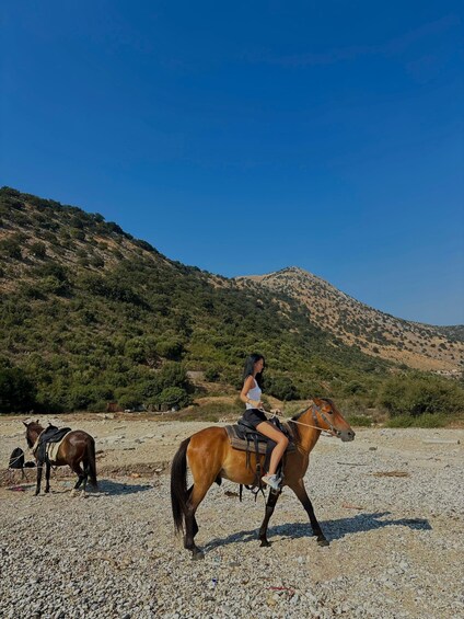 A person riding a horse on a gravel path with a mountainous backdrop. 1