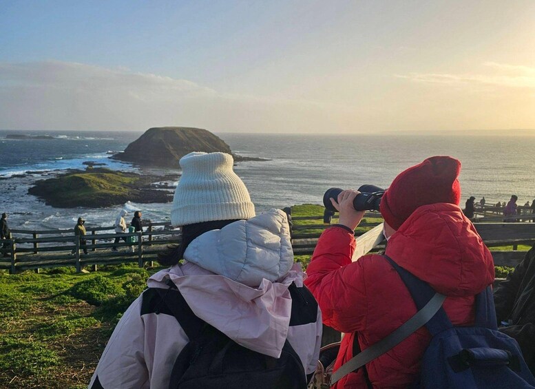 Two people using binoculars to observe a coastal landscape with rocky outcrops and a distant island. 3