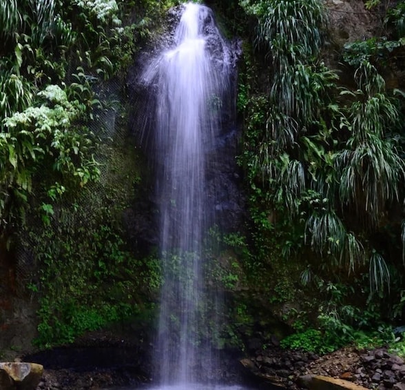 A waterfall surrounded by lush greenery. 2