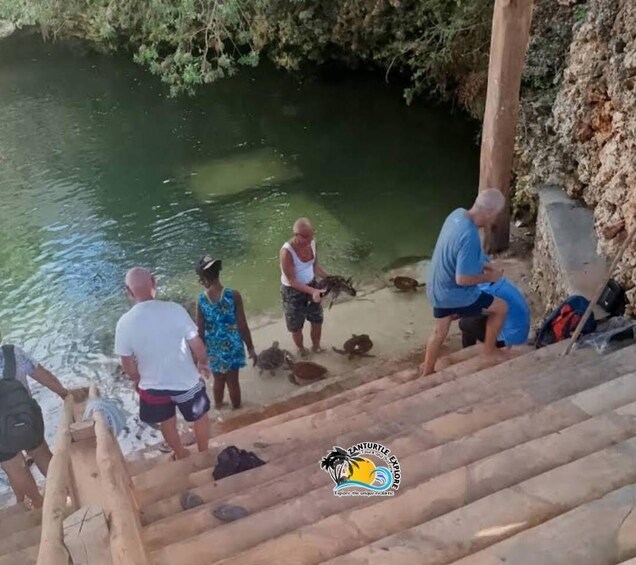 People interacting with turtles near a water body. 3