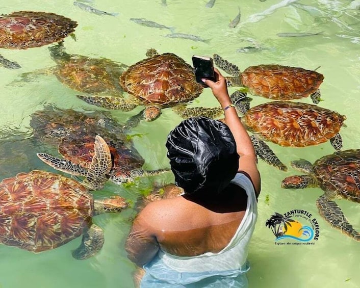 A person taking a photo of sea turtles in shallow water. 1