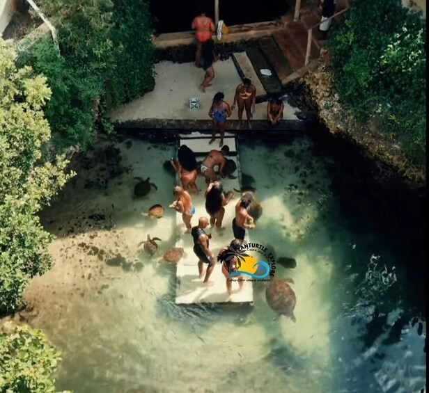 A group of people on a floating platform in a shallow water area surrounded by greenery. 2