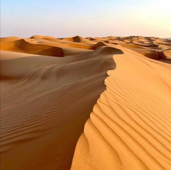 A desert landscape with sand dunes. 1