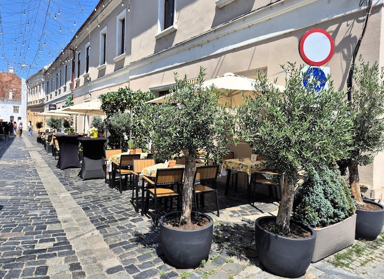 A cobblestone street lined with outdoor seating at cafes, potted olive trees, and a no parking sign. 5