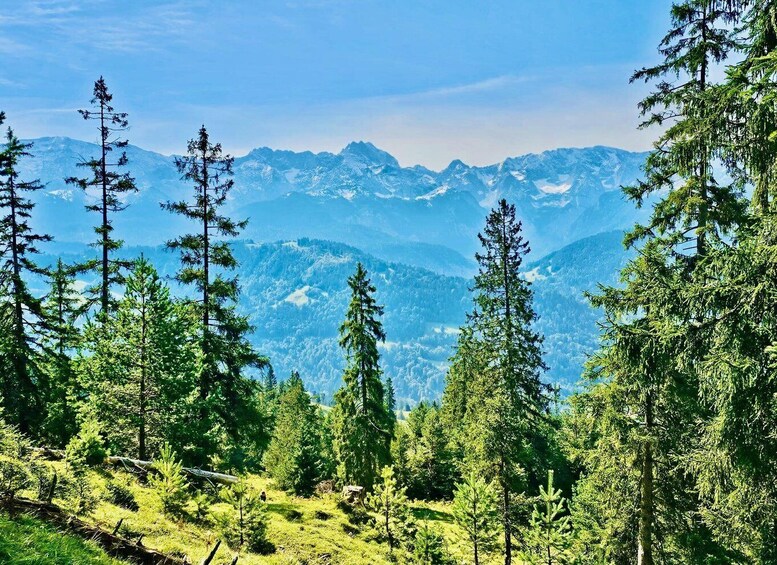 A mountainous landscape with dense coniferous forests and snow-capped peaks. 2