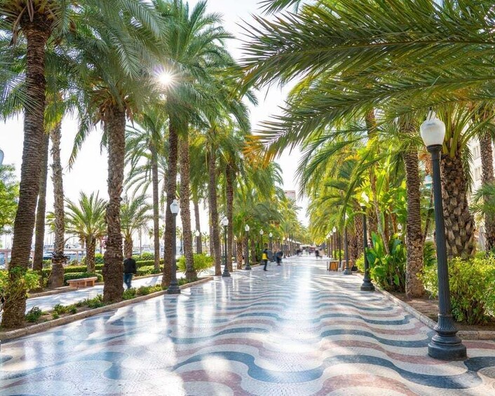 A paved walkway lined with palm trees and street lamps. 2