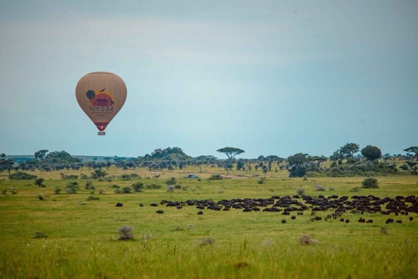 A hot air balloon with a logo flying over a savannah landscape with scattered trees and a herd of wildebeests. 2