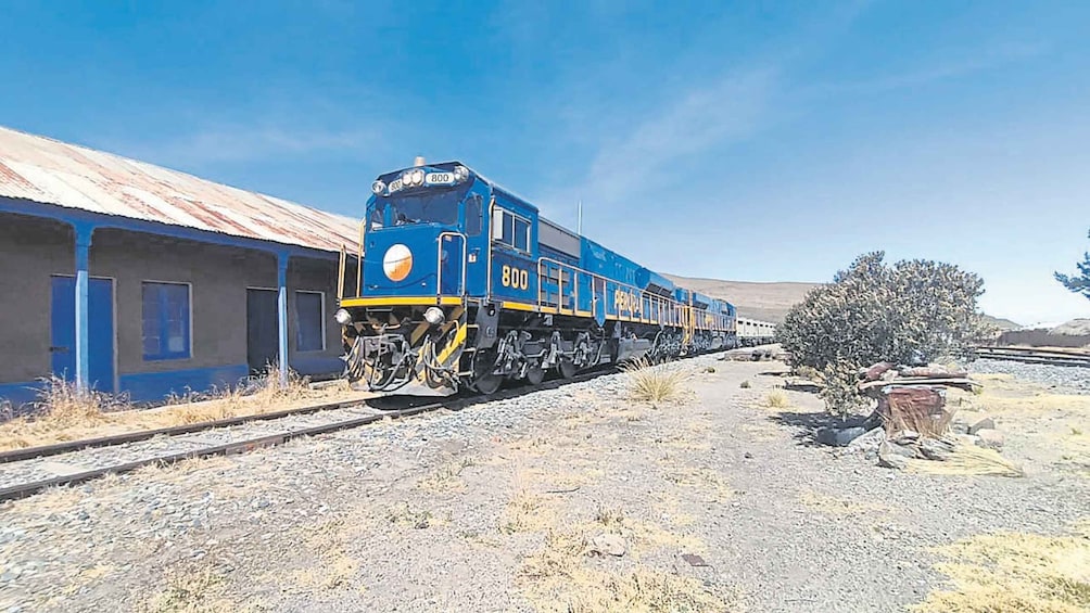 Un train bleu portant le numéro 800 passe devant un bâtiment dont le toit est fait de tôle ondulée. 4