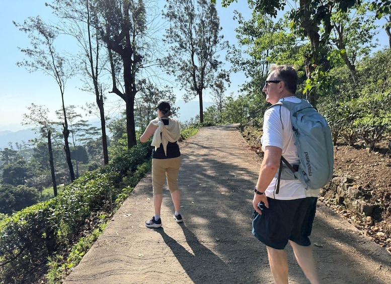 Two hikers on a dirt path surrounded by trees and vegetation. 5