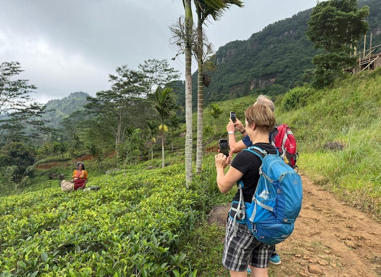 A hiker taking a photo of a tea plantation with a person sitting in the background. 4