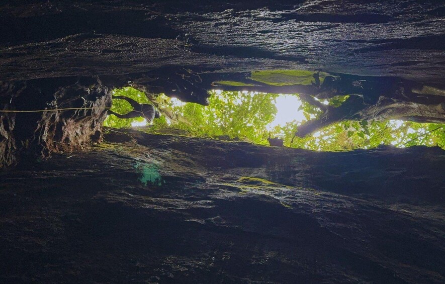 A cave interior with natural rock formations and a view of green foliage outside. 2