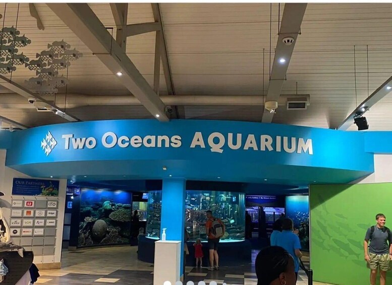 Cape Town: Aquarium, Duck Tour, and Botanical Garden Day 1