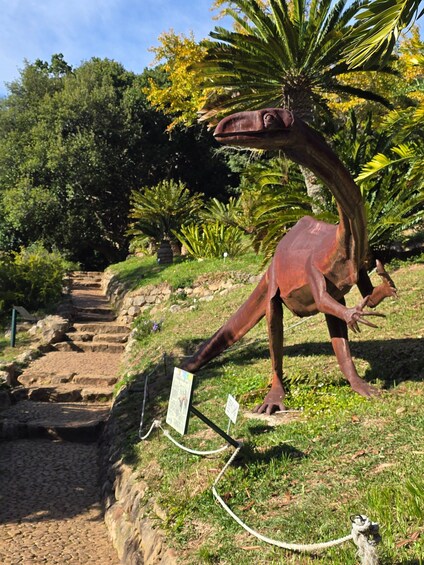 Picture 33 for Activity Cape Town: Aquarium, Duck Tour, and Botanical Garden Day 3