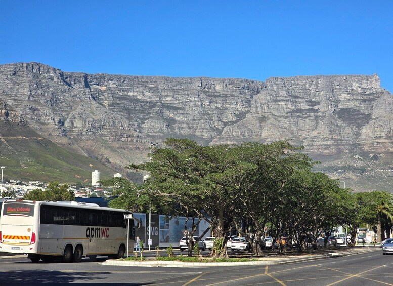 Picture 31 for Activity Cape Town: Aquarium, Duck Tour, and Botanical Garden Day 2