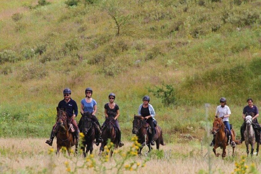 Een groep mensen rijdt paard op een grasveld, met een glooiend landschap op de achtergrond. 2