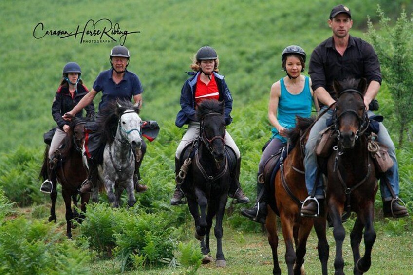 Een groep mensen rijdt op paarden in een grasveld. 1