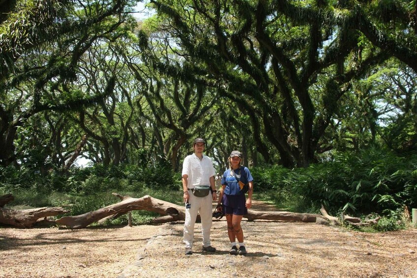 Two people standing on a forest path with large trees and fallen logs. 1